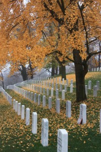 Veterans and Traffic Safety